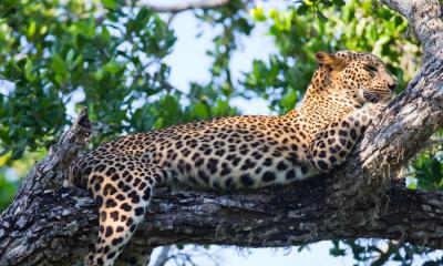 Authentic Sri Lanka 8D7N